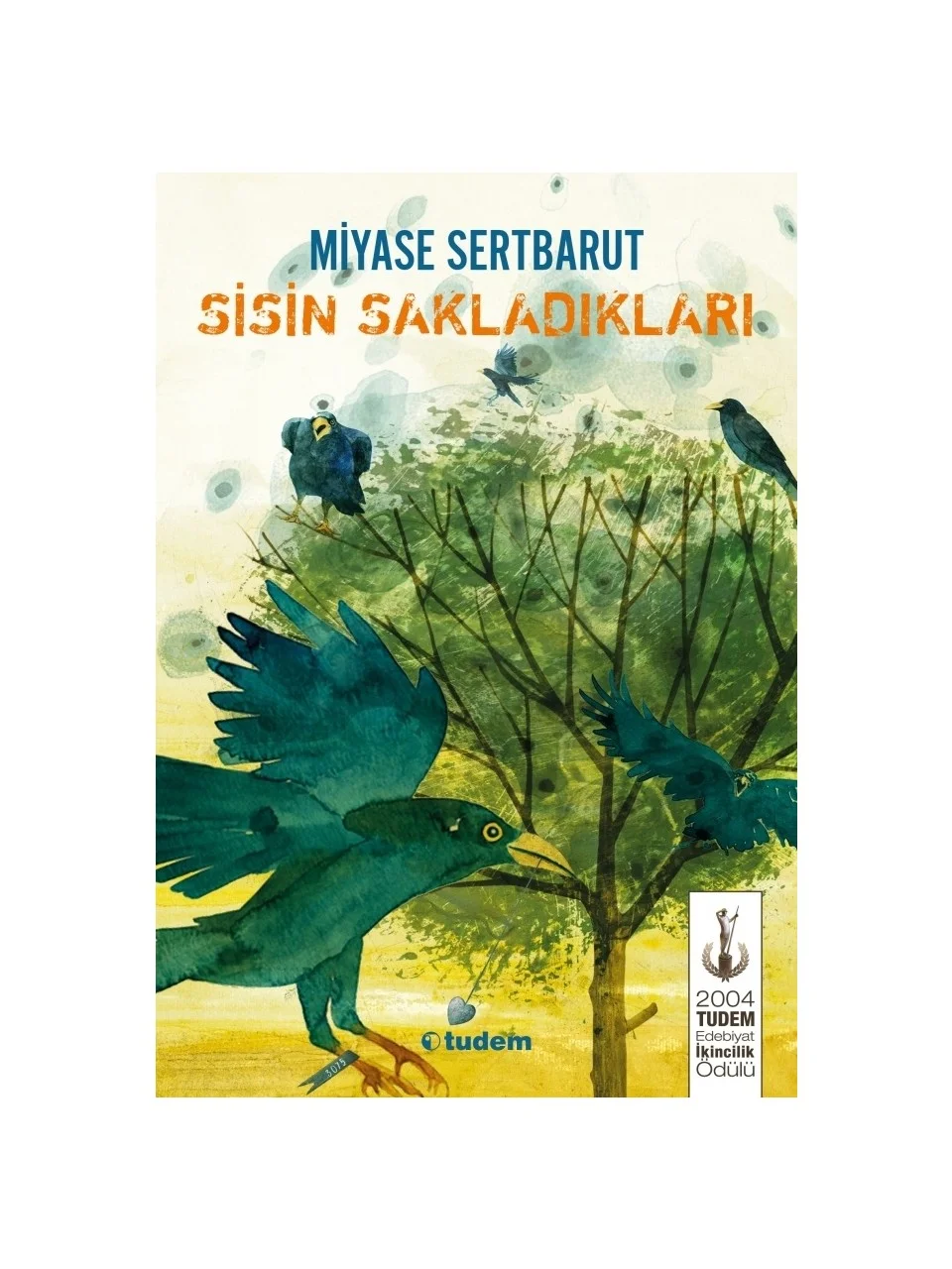 Sisin Sakladıkları Tudem Yayınları