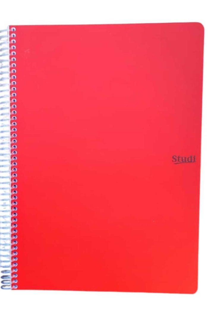 120 Yaprak A4 Çizgili Defter 2 Adet - Görsel 5