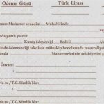 Dilman Boş Senet Kağıdı- 20 adet