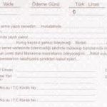 GÜLPAŞ SENET 100 LÜ POŞET