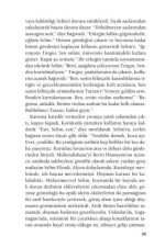 Tutunamayanlar - Bütün Eserleri - 1 - Görsel 6