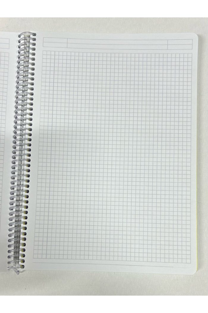 Pardayanlar 4+1 Çizgili Ve Kareli Defter - Görsel 2