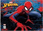 Spider 25*35 15 Yp.Resim Defteri